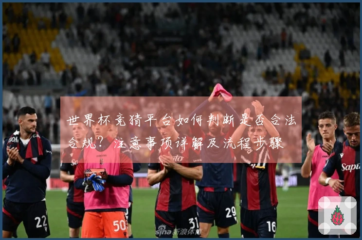 世界杯竞猜平台如何判断是否合法合规？注意事项详解及流程步骤