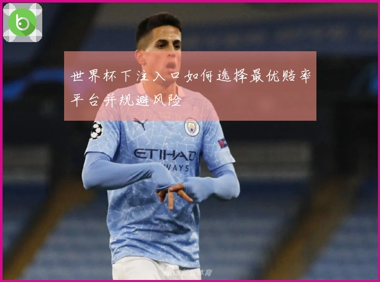 世界杯下注入口如何选择最优赔率平台并规避风险