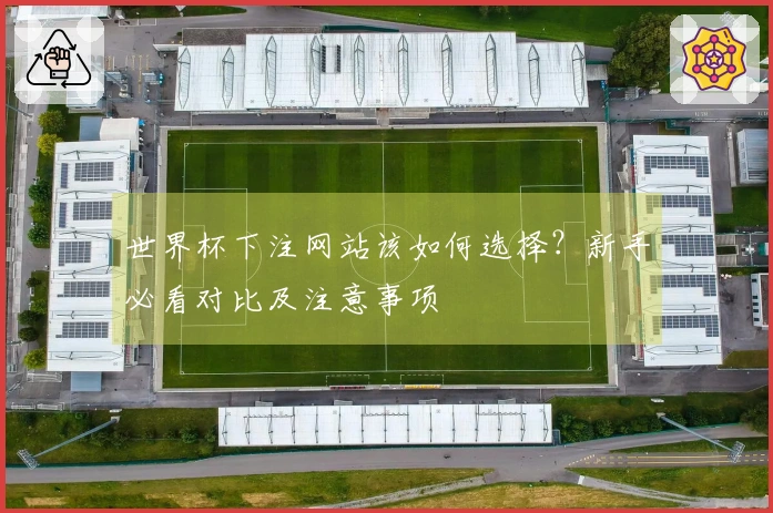 世界杯下注网站该如何选择？新手必看对比及注意事项