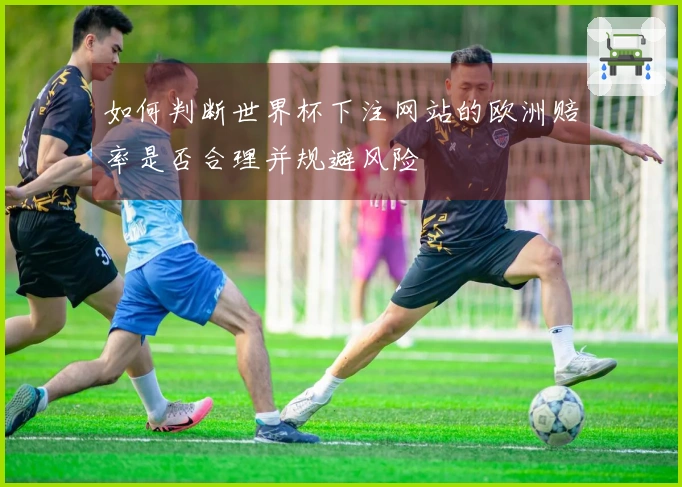 如何判断世界杯下注网站的欧洲赔率是否合理并规避风险