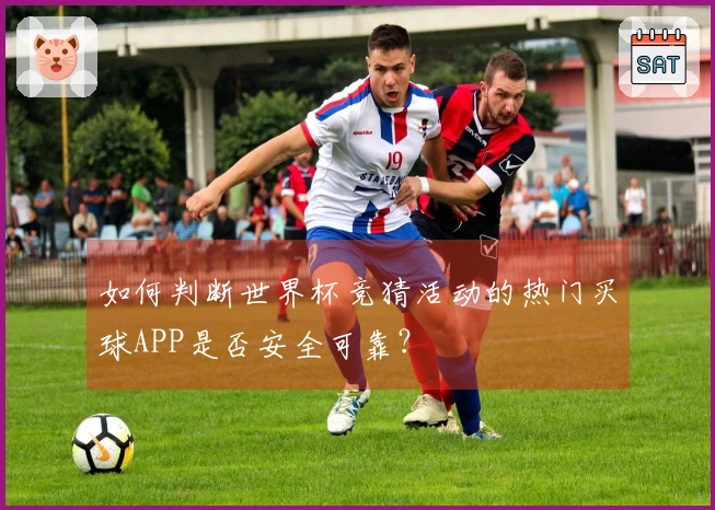 如何判断世界杯竞猜活动的热门买球APP是否安全可靠？