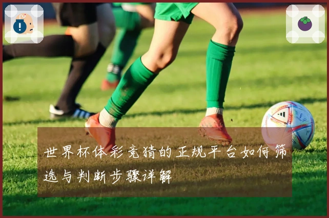 世界杯体彩竞猜的正规平台如何筛选与判断步骤详解