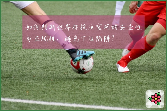 如何判断世界杯投注官网的安全性与正规性，避免下注陷阱？