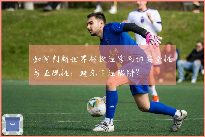 如何判断世界杯投注官网的安全性与正规性，避免下注陷阱？